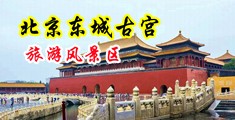 找一个操越南女人逼的网站中国北京-东城古宫旅游风景区